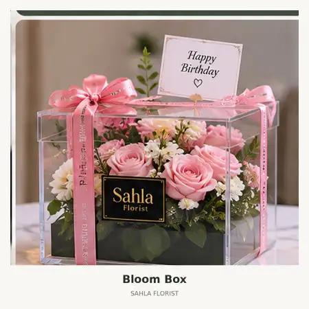 Bloom Box Baloi